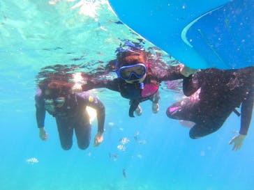 沖縄マリンサービス碧に投稿された画像（2022/8/8）