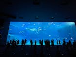 沖縄美ら海水族館に投稿された画像（2022/8/8）