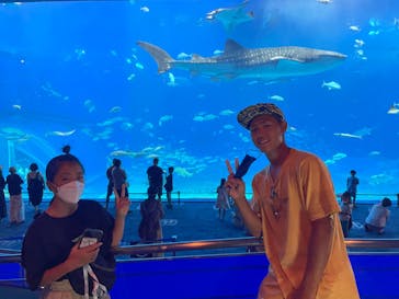 沖縄美ら海水族館に投稿された画像（2022/8/8）
