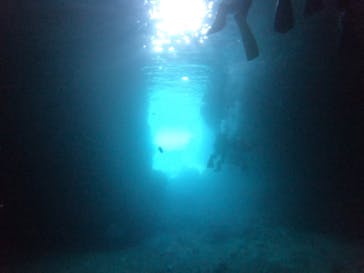 武藤潜水に投稿された画像（2022/8/8）