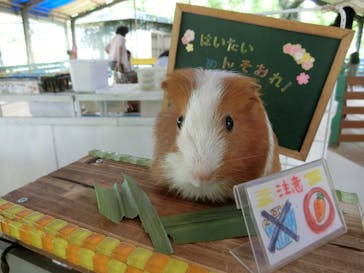 ネオパークオキナワに投稿された画像（2022/8/8）