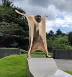 彫刻の森美術館に投稿された画像（2022/8/8）
