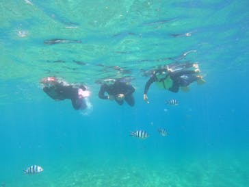 沖縄マリンサービス碧に投稿された画像（2022/8/8）