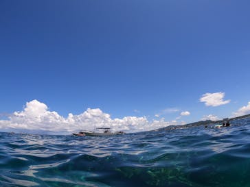 沖縄マリンサービス碧に投稿された画像（2022/8/8）