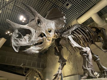 国立科学博物館に投稿された画像（2022/8/8）