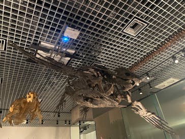 国立科学博物館に投稿された画像（2022/8/8）