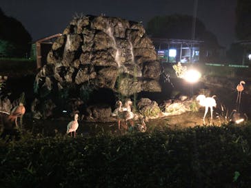 群馬サファリパークに投稿された画像（2022/8/8）