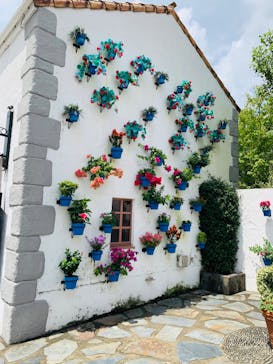 志摩スペイン村パルケエスパーニャに投稿された画像（2022/8/8）