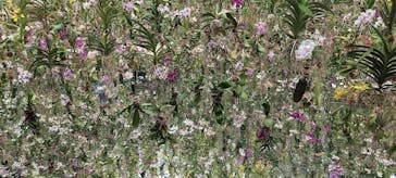 チームラボプラネッツ TOKYO DMMに投稿された画像（2022/8/8）