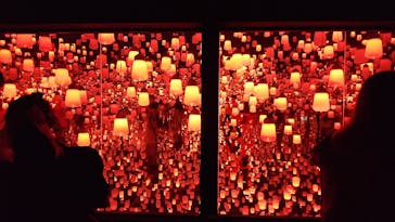 森ビル デジタルアート ミュージアム：エプソン チームラボボーダレスに投稿された画像（2022/8/8）