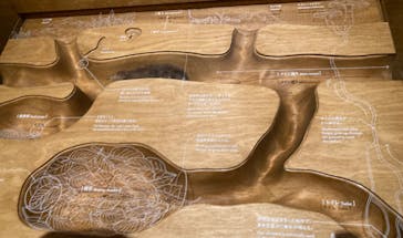 国立科学博物館に投稿された画像（2022/8/8）