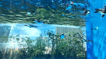 サンシャイン水族館に投稿された画像（2022/8/8）