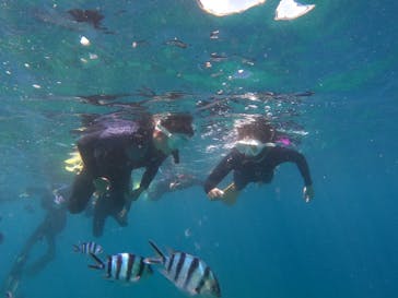 沖縄マリンサービス碧に投稿された画像（2022/8/8）