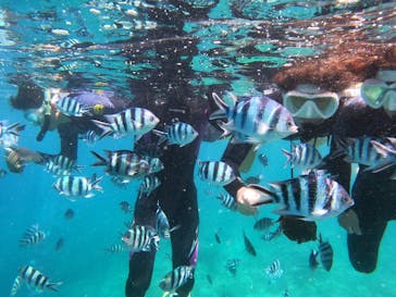 沖縄マリンサービス碧に投稿された画像（2022/8/8）