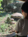 よこはま動物園ズーラシアに投稿された画像（2022/8/8）