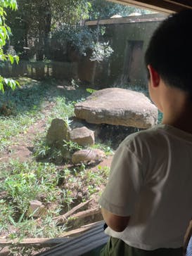 よこはま動物園ズーラシアに投稿された画像（2022/8/8）