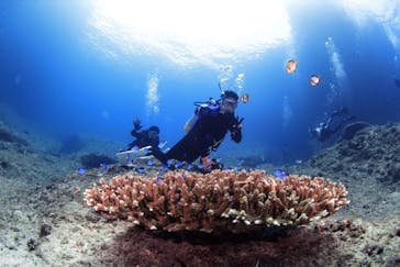 EARTH-LENS（アースレンズ）に投稿された画像（2022/8/8）