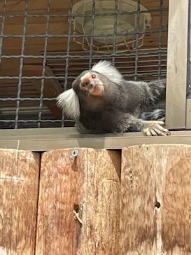 神戸どうぶつ王国に投稿された画像（2022/8/8）