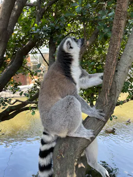 神戸どうぶつ王国に投稿された画像（2022/8/8）