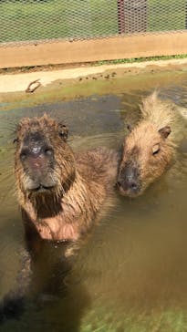 ネオパークオキナワに投稿された画像（2022/8/8）