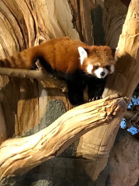 ネオパークオキナワに投稿された画像（2022/8/8）