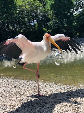 ネオパークオキナワに投稿された画像（2022/8/8）