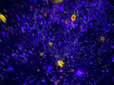 チームラボプラネッツ TOKYO DMMに投稿された画像（2022/8/8）