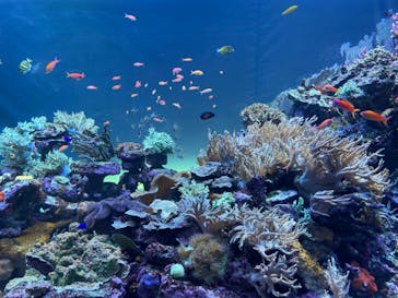 サンシャイン水族館に投稿された画像（2022/8/8）