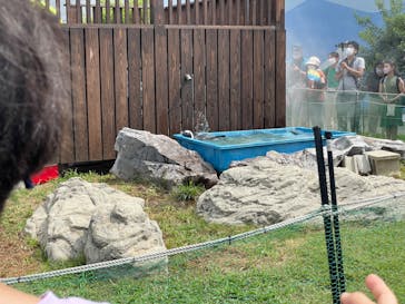 名古屋港水族館に投稿された画像（2022/8/8）