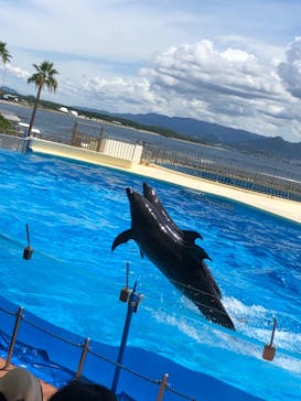 マリンワールド海の中道に投稿された画像（2022/8/8）