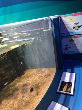 マリンワールド海の中道に投稿された画像（2022/8/8）