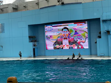 横浜・八景島シーパラダイスに投稿された画像（2022/8/8）