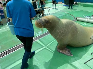 ゼロ距離水族館 伊勢シーパラダイスに投稿された画像（2022/8/8）