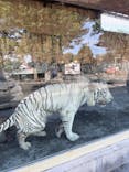 東武動物公園に投稿された画像（2022/8/8）