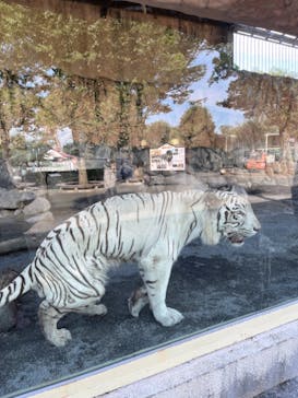 東武動物公園に投稿された画像（2022/8/8）