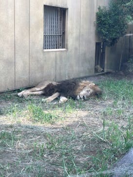 東武動物公園に投稿された画像（2022/8/8）