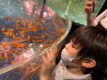 すみだ水族館に投稿された画像（2022/8/8）