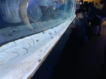 すみだ水族館に投稿された画像（2022/8/8）