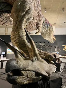 ひらかたパークに投稿された画像（2022/8/8）