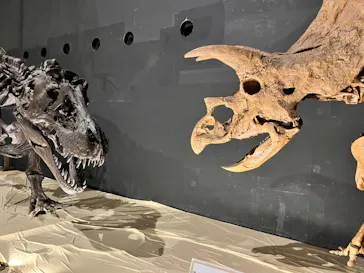 ひらかたパークに投稿された画像（2022/8/8）