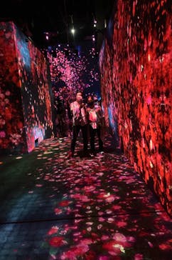 森ビル デジタルアート ミュージアム：エプソン チームラボボーダレスに投稿された画像（2022/8/8）