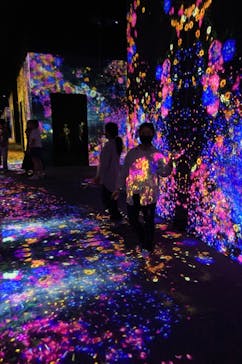 森ビル デジタルアート ミュージアム：エプソン チームラボボーダレスに投稿された画像（2022/8/8）
