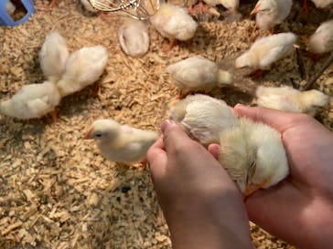 アニタッチみなとみらいに投稿された画像（2022/8/8）