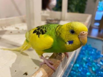 アニタッチみなとみらいに投稿された画像（2022/8/8）