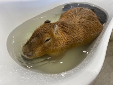 アニタッチみなとみらいに投稿された画像（2022/8/8）