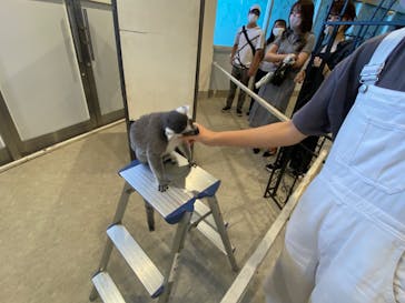 アニタッチみなとみらいに投稿された画像（2022/8/8）