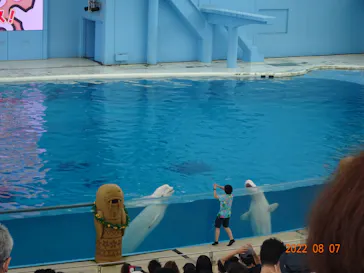 横浜・八景島シーパラダイスに投稿された画像（2022/8/8）