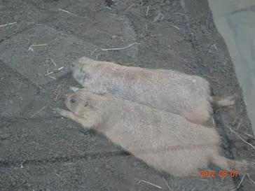 横浜・八景島シーパラダイスに投稿された画像（2022/8/8）