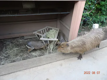横浜・八景島シーパラダイスに投稿された画像（2022/8/8）