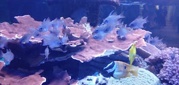 名古屋港水族館に投稿された画像（2022/8/8）